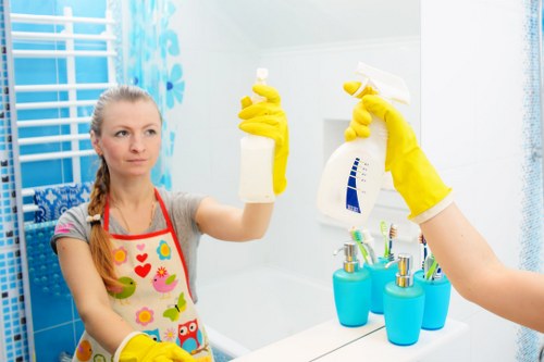 Carpet cleaning quote discussion in Islington home