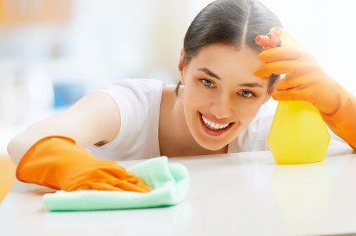 Local cleaning team servicing homes and offices in Islington