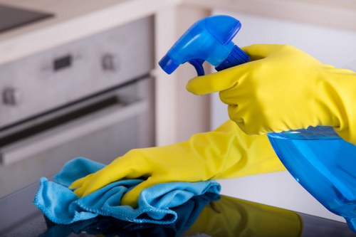 Deep cleaning treatment for pet stains on upholstery and sofa fabric