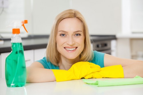 Professional rug cleaning service for homes in Islington