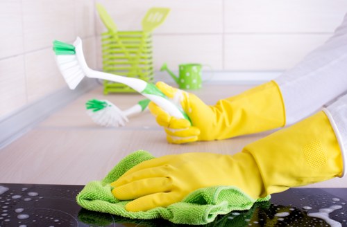 Deep mattress cleaning equipment used in an Islington property