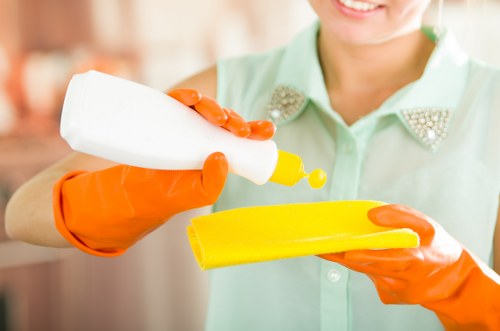 Support request for accessibility help on a carpet cleaning page