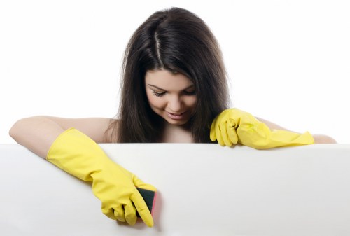 Pet stain odour removal service for a compact North London apartment