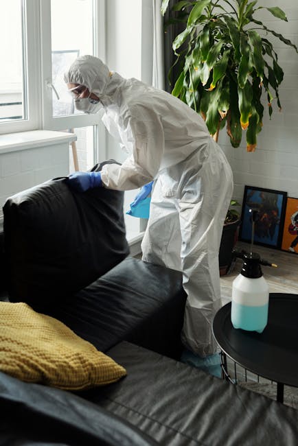 A professional cleaner wearing a white protective suit, face mask, goggles, and blue gloves is performing deep cleaning on a black leather sofa in a well-lit living room. The cleaner is using a cloth or cleaning tool near the sofa's armrest to ensure surface hygiene. The room features large sliding glass doors allowing natural light to illuminate the space, with a tall green plant positioned beside the window. A small round black table holds a spray bottle and cleaning accessories, while a framed artwork and a television are visible in the background. The overall scene depicts thorough domestic sofa cleaning, emphasizing hygiene and surface sanitation, as part of the services offered by Carpet Cleaners Islington for residential and commercial cleaning in Barnsbury and Canonbury areas.